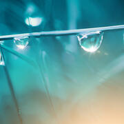 Wassertropfen